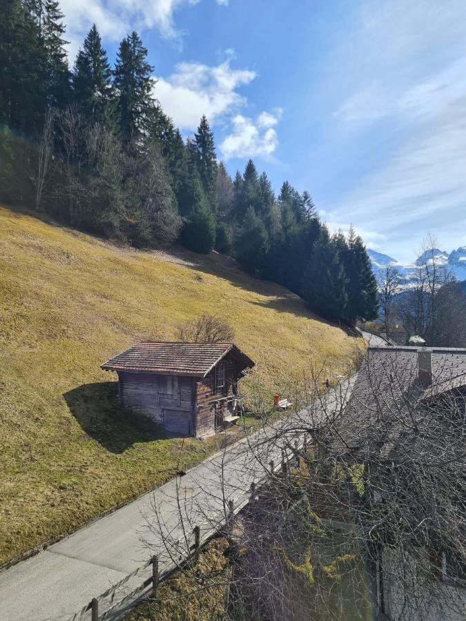 Apartamento Traditional Chalet In Wengen - Top Floor Exterior foto